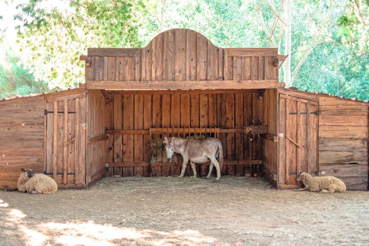 Ds One Vacances, Prairies De La Campsite Grimaud