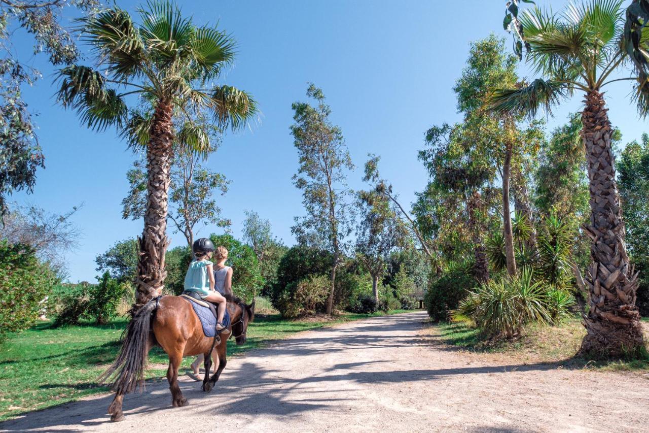 Ds One Vacances, Prairies De La Campsite